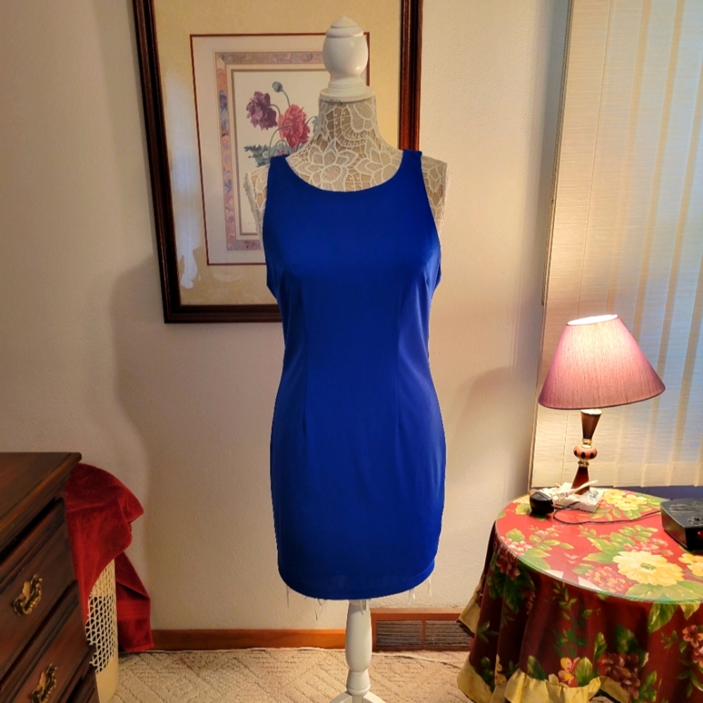 W118 by Walter Baker sleeveless fully lined dress